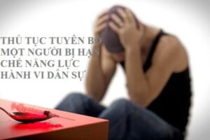 THỦ TỤC TUYÊN BỐ MỘT NGƯỜI BỊ HẠN CHẾ NĂNG LỰC HÀNH VI DÂN SỰ